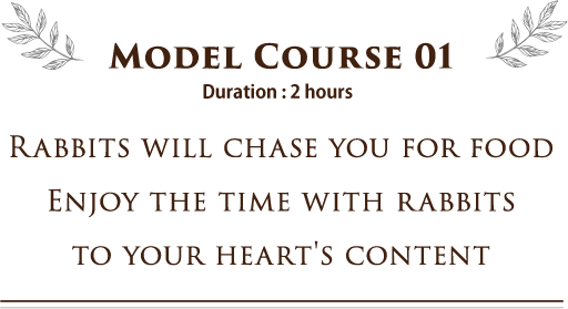 Model Course 01 RABBITS WILL CHASE YOU FOR FOOD ENJOY THE TIME WITH RABBITS TO YOUR HEART'S CONTENT